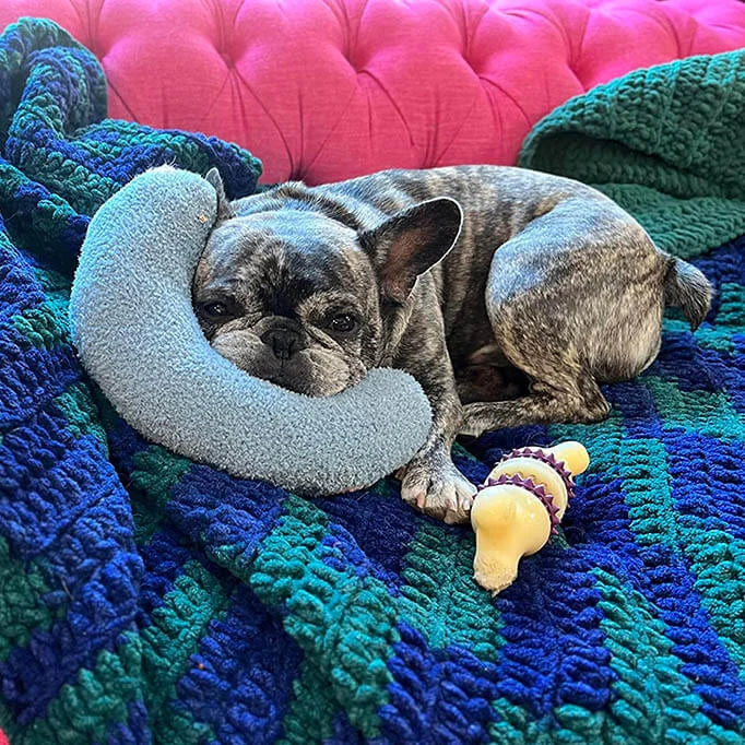 SnuggleNest Comfort Pillow