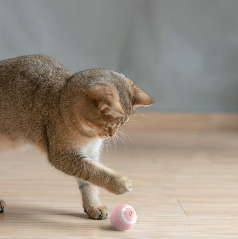 SmartPounce Ball