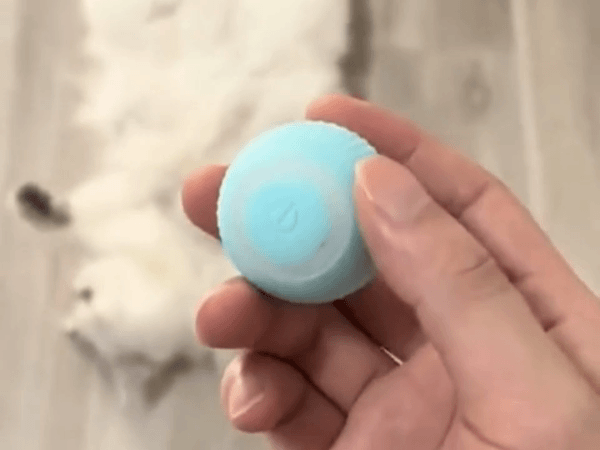 Smartpounce Ball